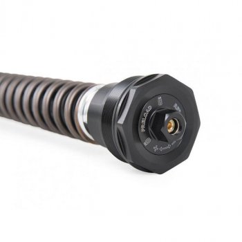 Cartucce forcella Öhlins Nix 30mm Street Harley Davidson CVO Road Glide (2023 in poi)