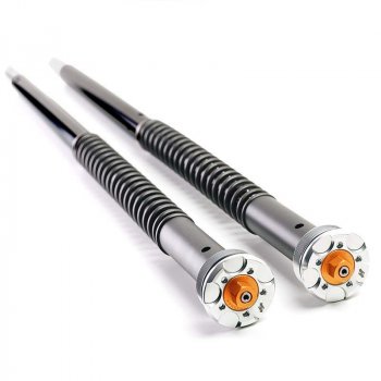 Cartucce Forcella per Kawasaki Z900 RS (2018 in poi)