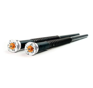 Cartucce Forcella per KTM 790/890 Adventure S (uso stradale)
