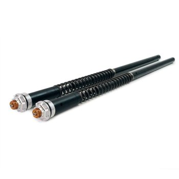 Cartucce Forcella per Triumph Scrambler