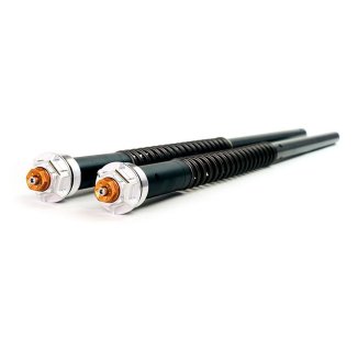 Cartucce Forcella per Triumph Scrambler