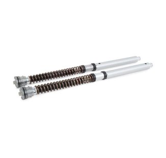 Cartuccia forcella Ohlins NIX 30