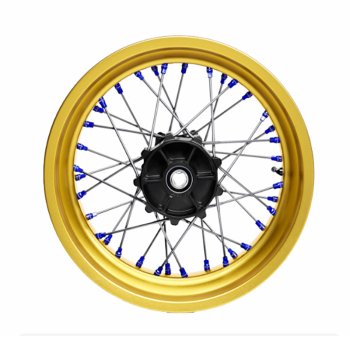 Coppia Ruote a Raggi Alpina STS Tubeless BMW F450GS
