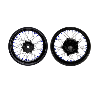 Coppia Ruote a Raggi Alpina STS Tubeless BMW F450GS