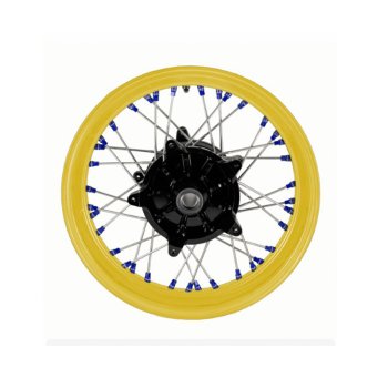 Coppia Ruote a Raggi Alpina STS Tubeless BMW F450GS