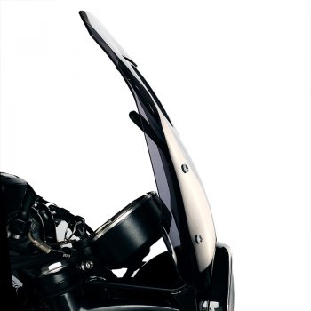 Cupolino con supporto GPS Bonneville T100 (2017 in poi)