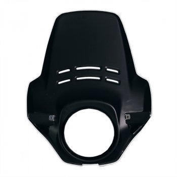 Cupolino Fenouil BMW R12 G/S