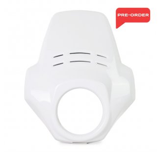 Cupolino Fenouil BMW R12 G/S