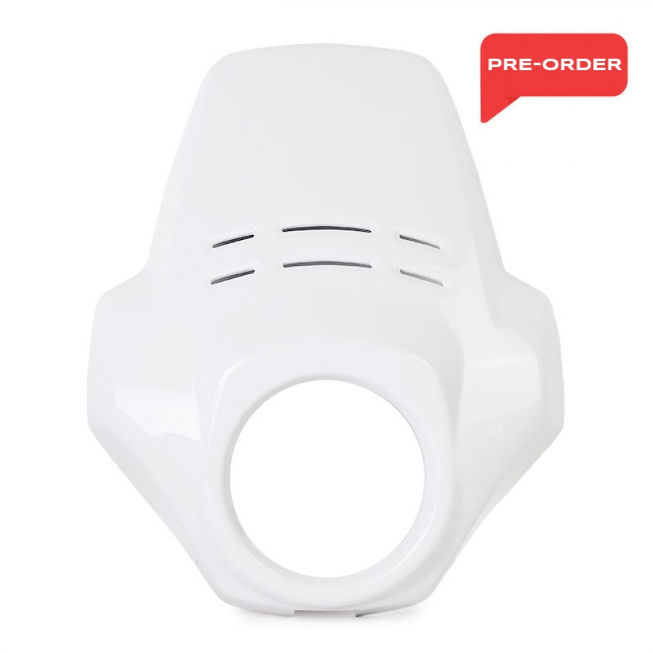 Cupolino Fenouil BMW R12 G/S