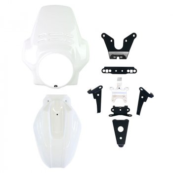 Cupolino Fenouil+parafango anteriore BMW R12 NineT