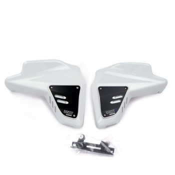 Fianchetti Radiatore BMW R12 G/S 