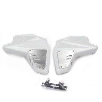 Fianchetti Radiatore BMW R12 G/S 