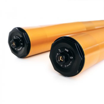 Forcella Öhlins 48 mm + Piastre BMW R12 G/S