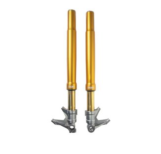 Forcella R&T 48 Oro Harley-Davidson CVO Street - Road Glide (2023-2025)
