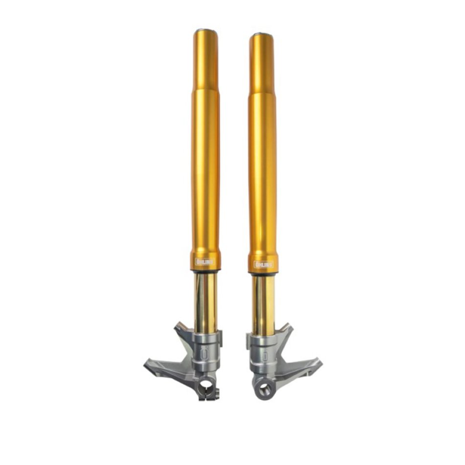 Forcella R&T 48 Oro Harley-Davidson CVO Street - Road Glide (2023-2025)
