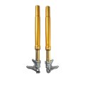 Forcella R&T 48 Oro Harley-Davidson CVO Street - Road Glide (2023-2025)