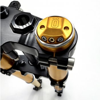 Forcella Ténéré 700 RXF 48 completa di piastre