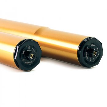 Kit forcella Ohlins custom 43 USD Gold BMW R18 + piastre e piedini Unit Garage (Assiale)