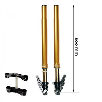Kit forcella Ohlins custom 43 USD Gold BMW R18 + piastre e piedini Unit Garage (Assiale)