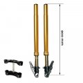 Kit forcella Ohlins BMW R18 Gold + piastre Unit garage con piedini assiali