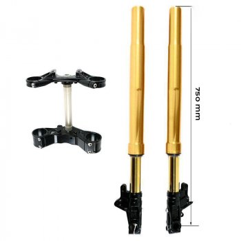 Kit forcella Ohlins USD LOW + piastre e piedini Unit Garage