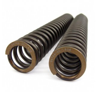 Molle forcella Ohlins MT 09