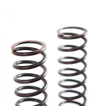 Molle forcella Triumph