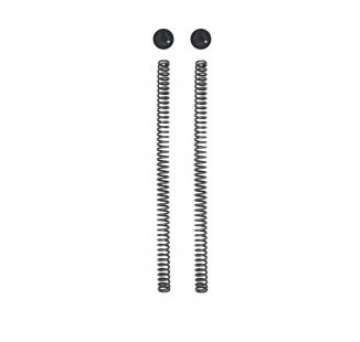 Öhlins kit 2 tappi più 2 molle forcella Royal Enfield Himalayan 450 (2024)