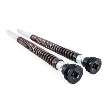 Ohlins Cartuccia NIX30A Scrambler 1200 XC
