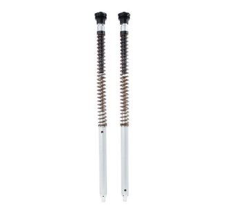 Ohlins Cartuccia NIX30A Scrambler 1200 XC