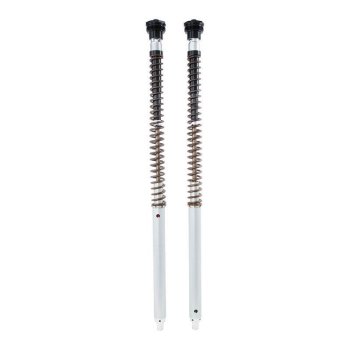 Ohlins Cartuccia NIX30A Scrambler 1200 XC