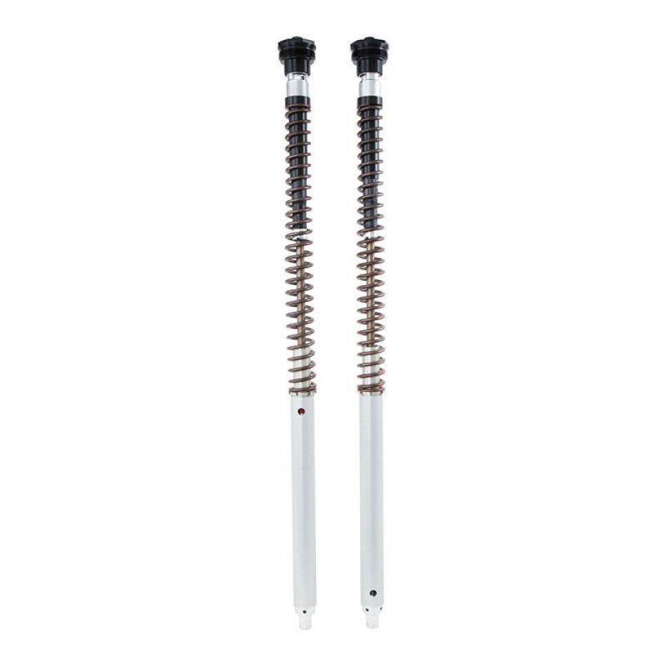 Ohlins Cartuccia NIX30A Scrambler 1200 XC