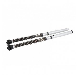 Ohlins Cartuccia NIX30S