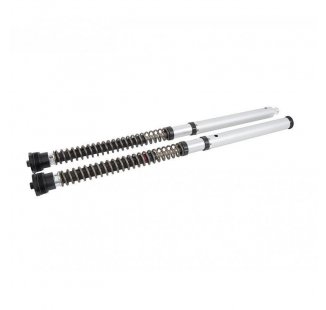 Ohlins Cartuccia NIX30S