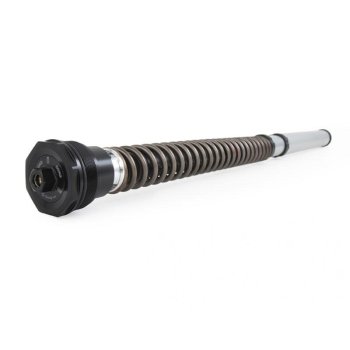 Ohlins Cartuccia NIX30S