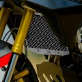 Protezione Radiatore BMW F450GS